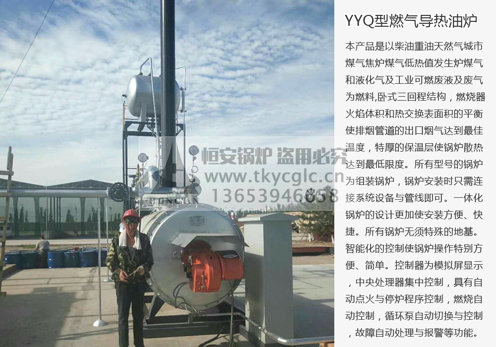 YYQ燃氣有機熱載體加熱爐安裝現(xiàn)場